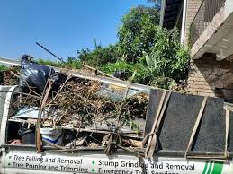 Best Hoarding Cleanup  in Lynnville, IN
